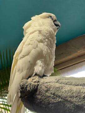 那須どうぶつ王国に投稿された画像（2025/11/24）