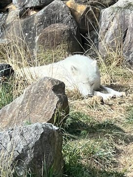 那須どうぶつ王国に投稿された画像（2025/11/24）