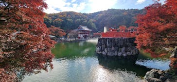 勝尾寺に投稿された画像（2025/11/24）