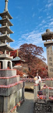 勝尾寺に投稿された画像（2025/11/24）