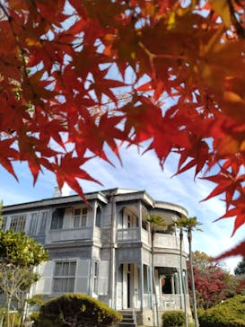 博物館 明治村に投稿された画像（2025/11/24）