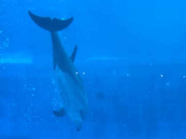 名古屋港水族館に投稿された画像（2025/11/24）