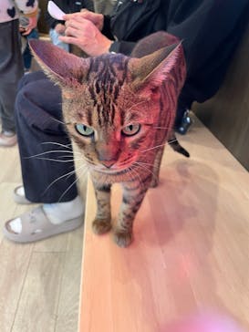 つくばわんわんランドに投稿された画像（2025/11/24）