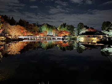 国営昭和記念公園 秋の夜散歩に投稿された画像（2025/11/24）