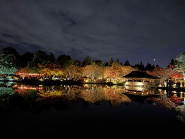 国営昭和記念公園 秋の夜散歩に投稿された画像（2025/11/24）
