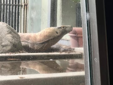 名古屋市東山動植物園に投稿された画像（2025/11/24）