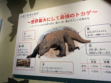 名古屋市東山動植物園に投稿された画像（2025/11/24）