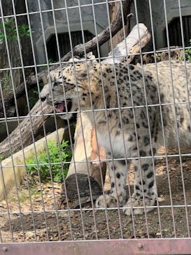 名古屋市東山動植物園に投稿された画像（2025/11/24）