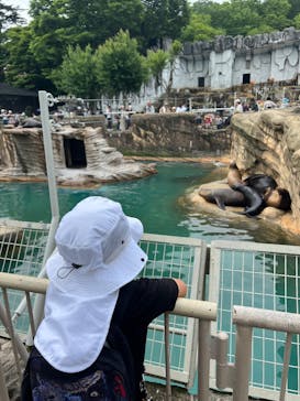 名古屋市東山動植物園に投稿された画像（2025/11/24）