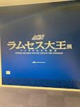 ACN ラムセス大王展 ファラオたちの黄金に投稿された画像（2025/11/24）