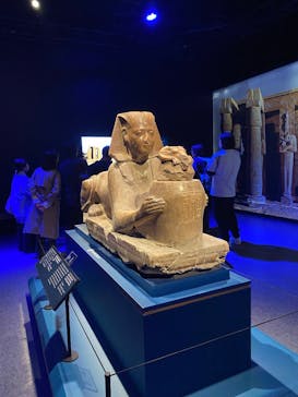 ACN ラムセス大王展 ファラオたちの黄金に投稿された画像（2025/11/24）
