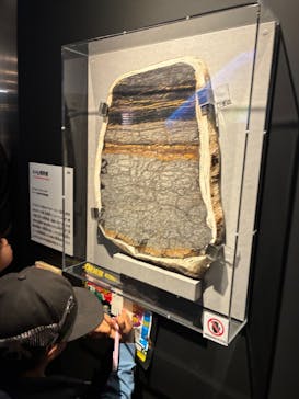 特別展「大絶滅展―生命史のビッグファイブ」に投稿された画像（2025/11/24）
