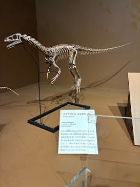 特別展「大絶滅展―生命史のビッグファイブ」に投稿された画像（2025/11/24）