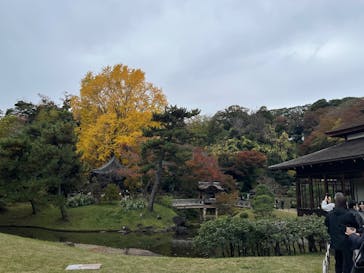 三溪園に投稿された画像（2025/11/24）