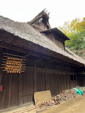 三溪園に投稿された画像（2025/11/24）