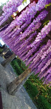 ニジゲンノモリに投稿された画像（2025/11/24）