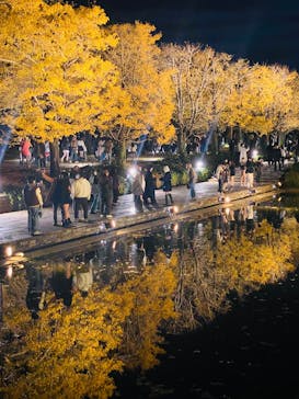 国営昭和記念公園 秋の夜散歩に投稿された画像（2025/11/24）