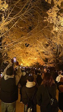 国営昭和記念公園 秋の夜散歩に投稿された画像（2025/11/24）