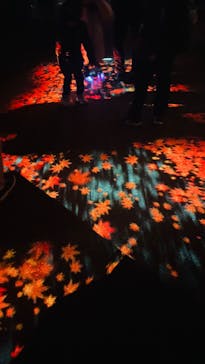 国営昭和記念公園 秋の夜散歩に投稿された画像（2025/11/24）