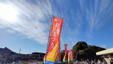 万博記念公園に投稿された画像（2025/11/24）