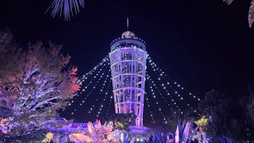 江の島シーキャンドルに投稿された画像（2025/11/24）