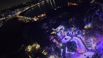 江の島シーキャンドルに投稿された画像（2025/11/24）