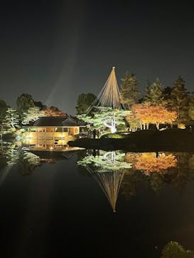 国営昭和記念公園 秋の夜散歩に投稿された画像（2025/11/24）