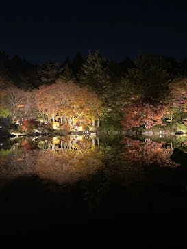国営昭和記念公園 秋の夜散歩に投稿された画像（2025/11/24）