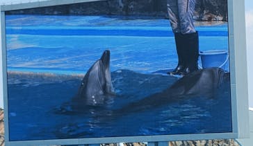 名古屋港水族館に投稿された画像（2025/11/24）