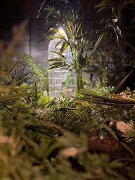 Mozuミニチュア展　ようこそ、ちいさな世界へ。in 銀座（銀座三越）に投稿された画像（2025/11/24）