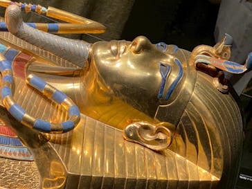 MYSTERY OF TUTANKHAMEN 体感型古代エジプト展に投稿された画像（2025/11/24）