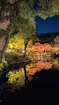 広島県縮景園に投稿された画像（2025/11/24）