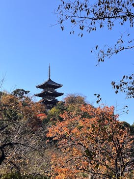 三溪園に投稿された画像（2025/11/24）