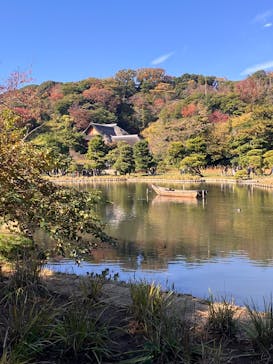 三溪園に投稿された画像（2025/11/24）