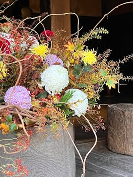 三溪園に投稿された画像（2025/11/24）