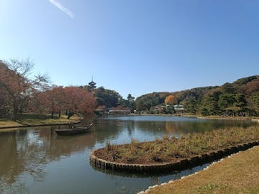 三溪園に投稿された画像（2025/11/24）