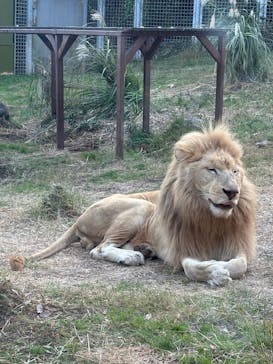 伊豆アニマルキングダムに投稿された画像（2025/11/24）