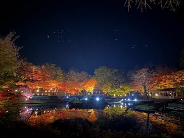 修善寺虹の郷に投稿された画像（2025/11/24）