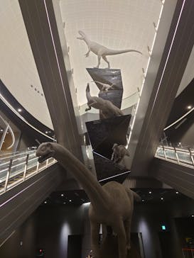 福井県立恐竜博物館に投稿された画像（2025/11/24）