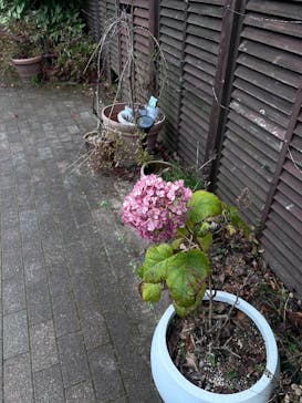 神戸六甲ミーツ・アート2025 beyondに投稿された画像（2025/11/24）