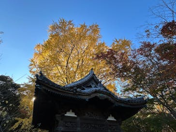 三溪園に投稿された画像（2025/11/24）