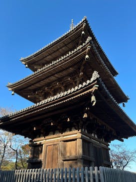 三溪園に投稿された画像（2025/11/24）