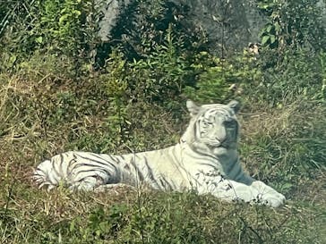 伊豆アニマルキングダムに投稿された画像（2025/11/24）