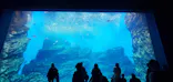 仙台うみの杜水族館に投稿された画像（2025/11/24）