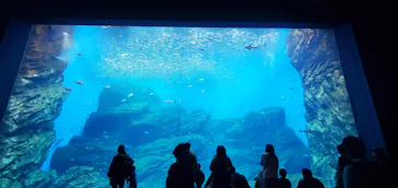 仙台うみの杜水族館に投稿された画像（2025/11/24）