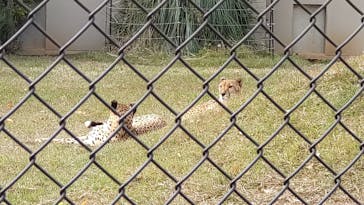 千葉市動物公園に投稿された画像（2025/11/24）