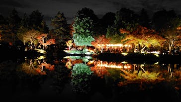 国営昭和記念公園 秋の夜散歩に投稿された画像（2025/11/24）