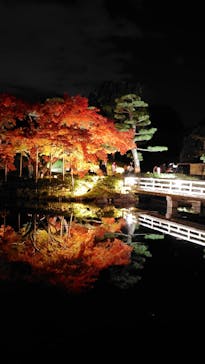 国営昭和記念公園 秋の夜散歩に投稿された画像（2025/11/24）