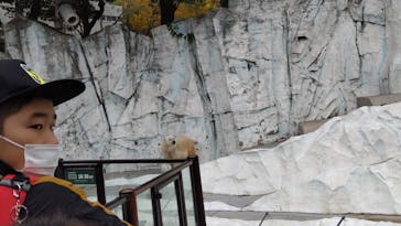 恩賜上野動物園に投稿された画像（2025/11/24）