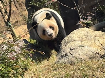 恩賜上野動物園に投稿された画像（2025/11/24）